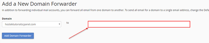 domain-forwarder-address